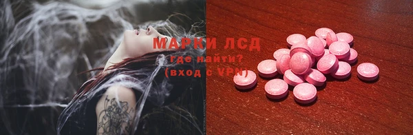 PSILOCYBIN Иннополис
