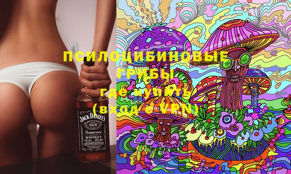 a pvp Инта