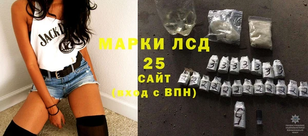 PSILOCYBIN Иннополис