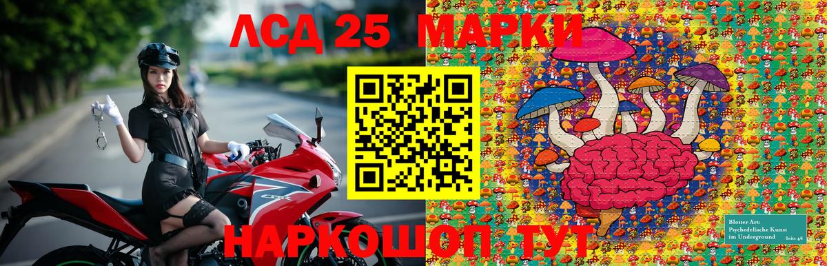 Наркотические марки 1,5мг  Вход с VPN  Кизляр  Наркотические марки 1,5мг 