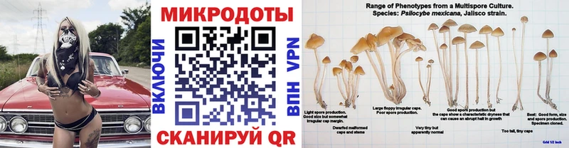 Галлюциногенные грибы Psilocybe  мега сайт  дарк нет клад  Кизляр 