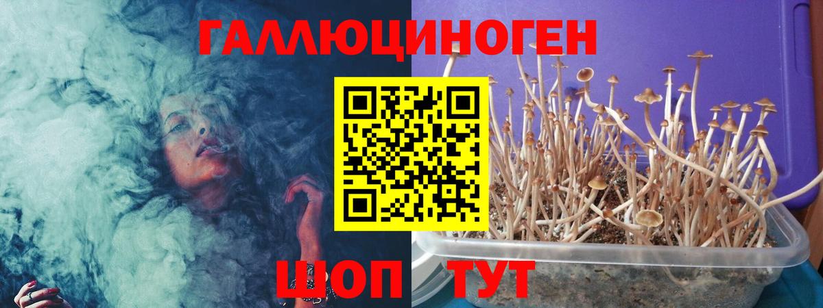 Псилоцибиновые грибы Magic Shrooms  Вход с VPN  Кизляр 